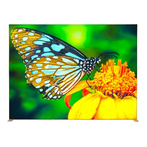 Igniter Snap Series LightBox 118"x 89" - Image 2