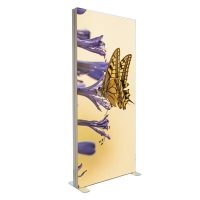 Igniter Snap Series LightBox 40"x 89"