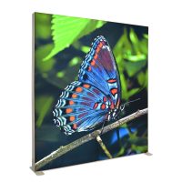 Igniter Snap Series LightBox 79" x 89"