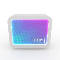 PE.C101 Rental Counter