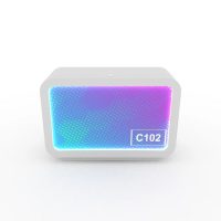 PE.C102 Rental Counter