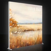 Lucid Max 10ft High Display